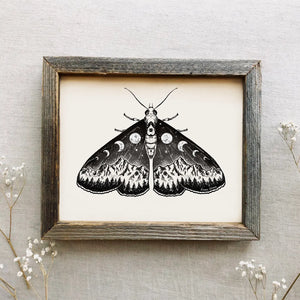 Mountain Moth Art Print - 8 x 10"