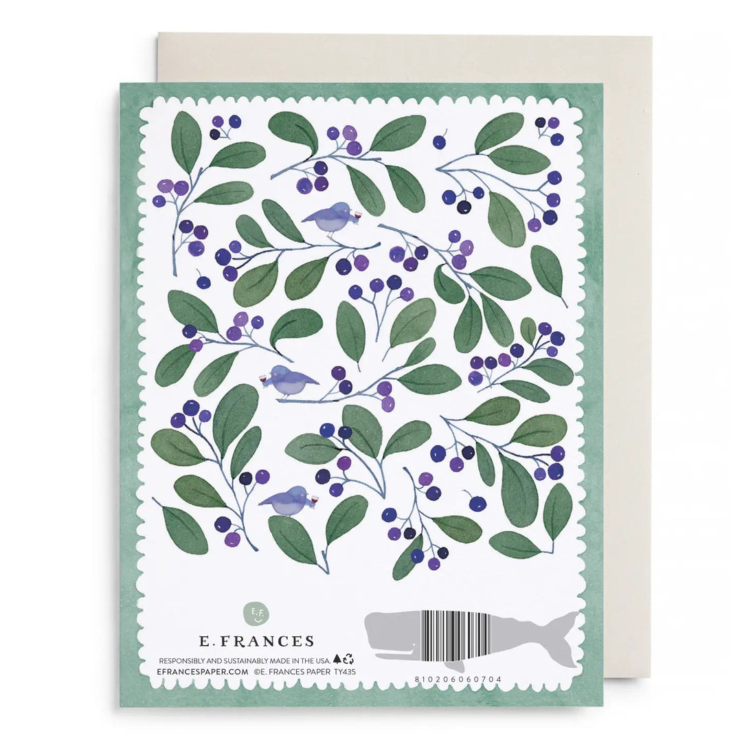 Chirps and Cheers Boxed Card Set (Set of 6)