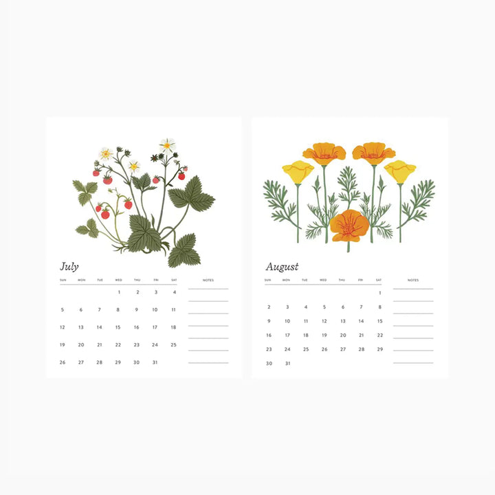 Botanical Art Desk Calendar 2026