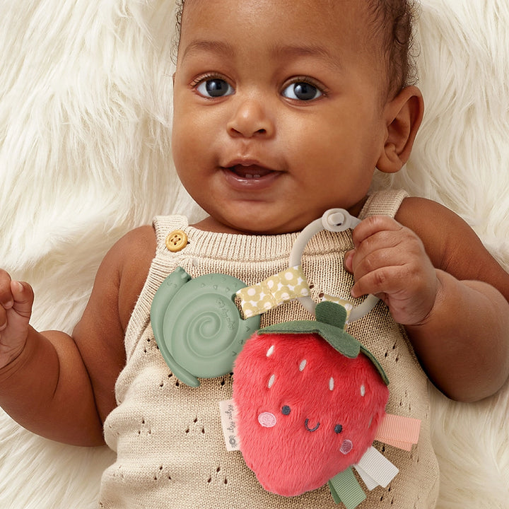 Itzy Pal Plush and Teether (multiple designs)