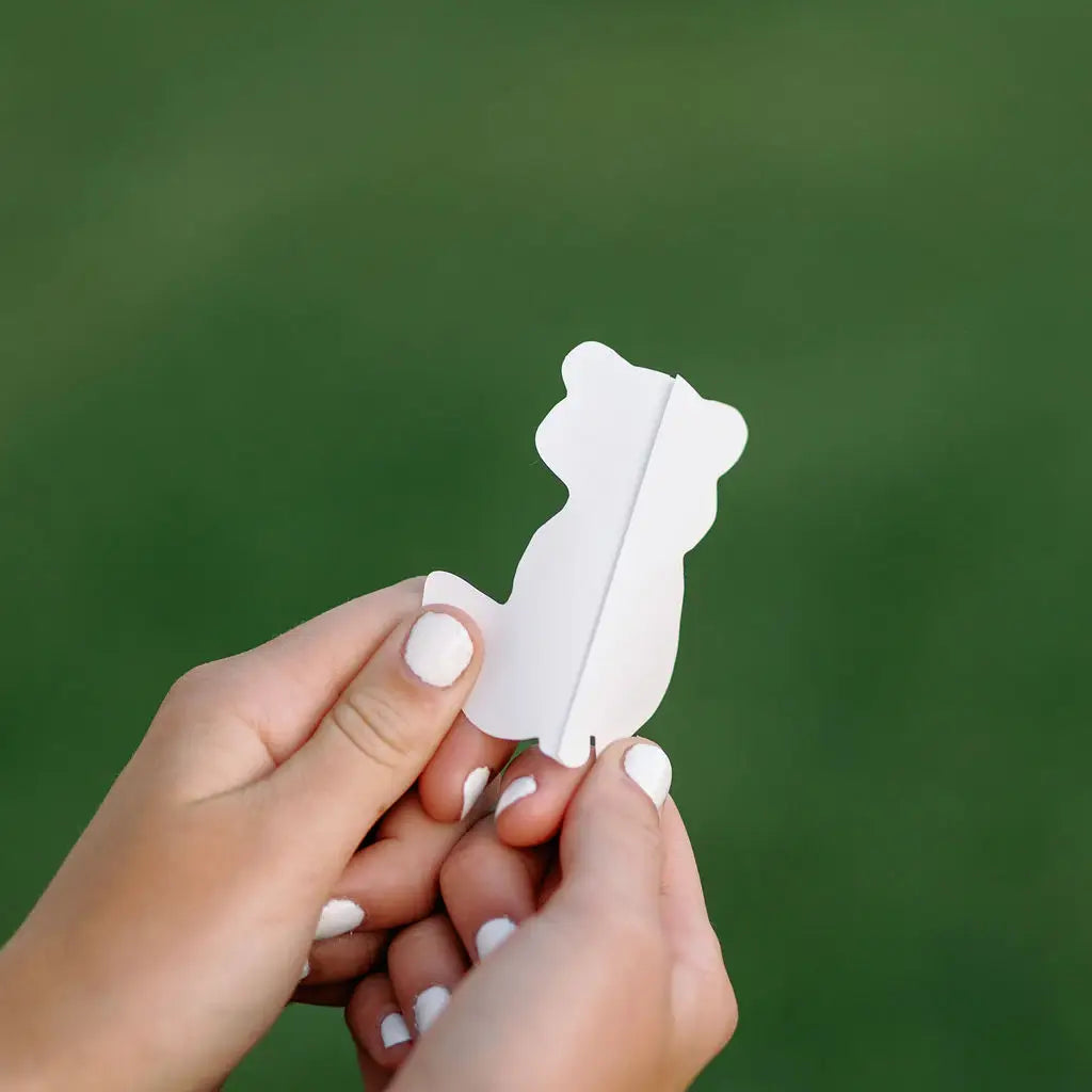 Raccoon with Ice Cream Sticker