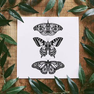Three  Butterflies Art Print - 8 x 10"