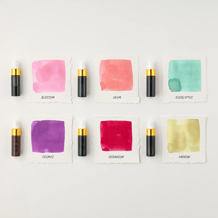 Mini Fountain Pen Ink Collection - Sakura