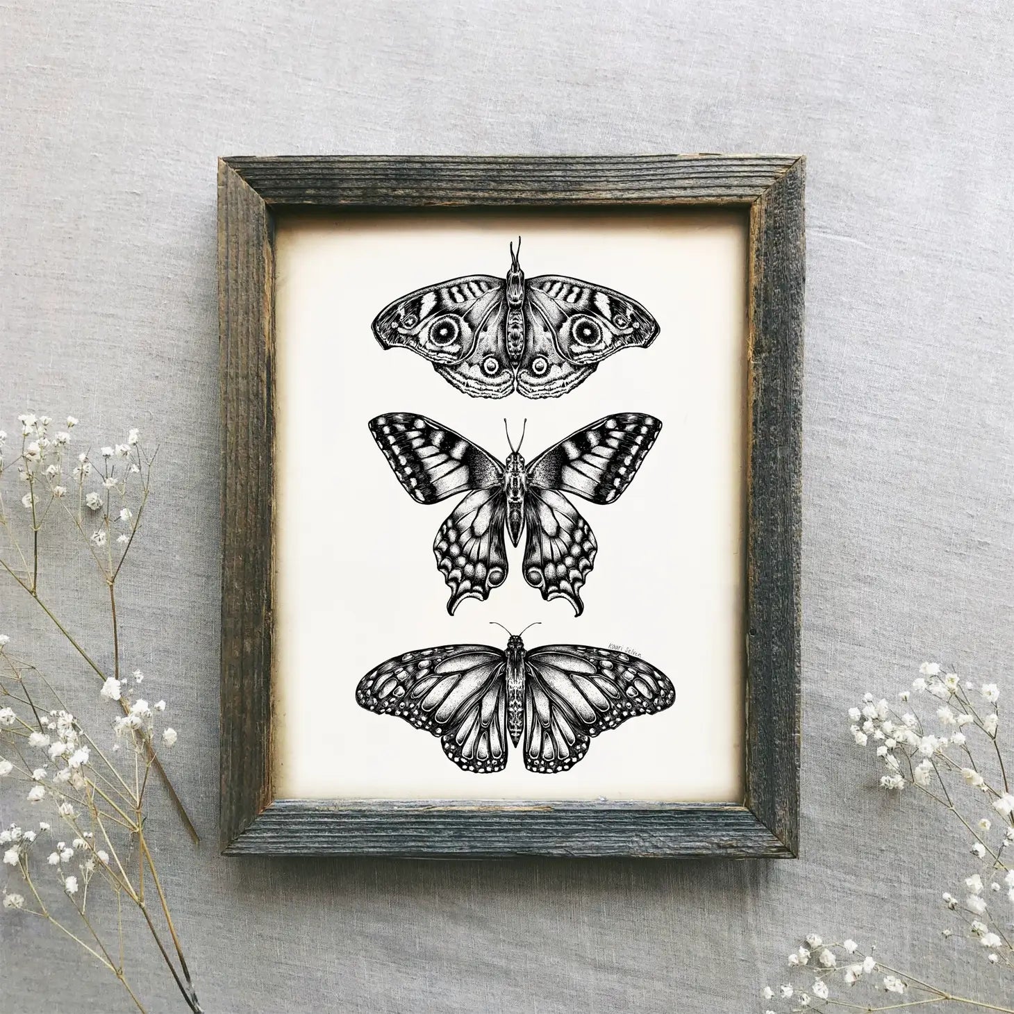 Three  Butterflies Art Print - 8 x 10"