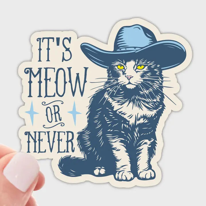 It's Meow or Never Sticker