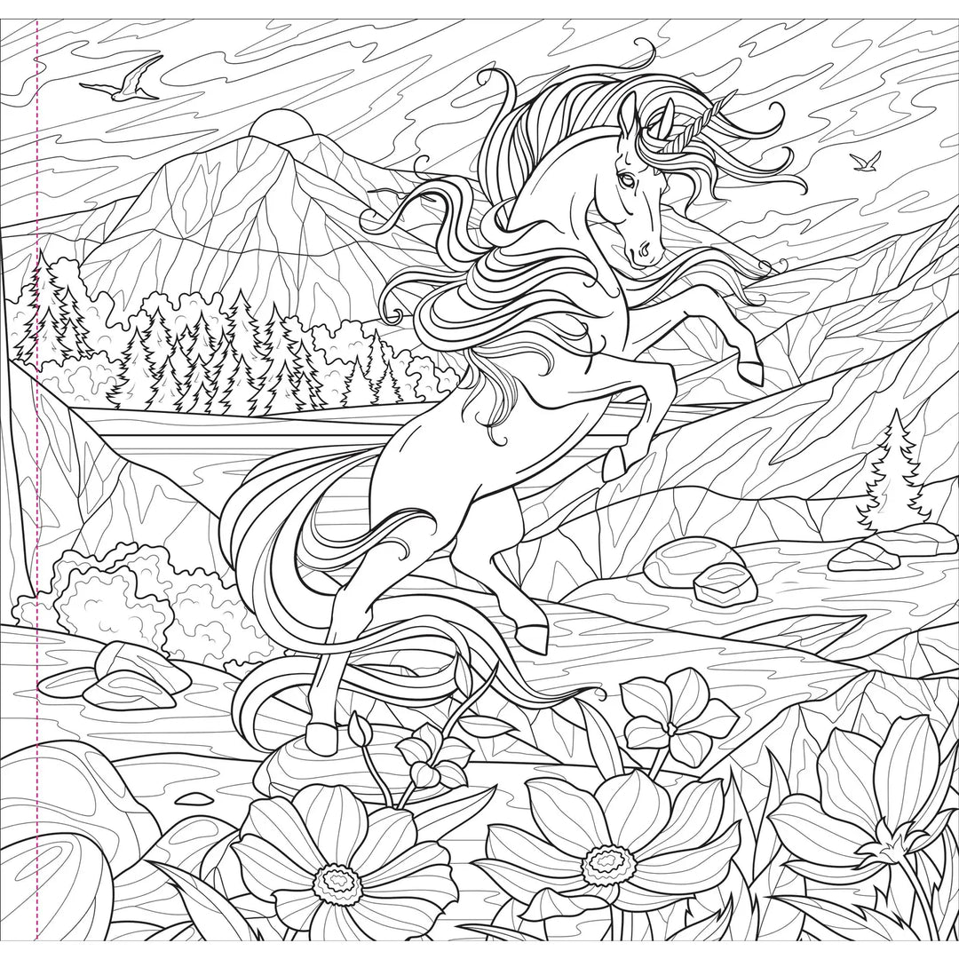 Enchanted Kingdom Adult Coloring Book