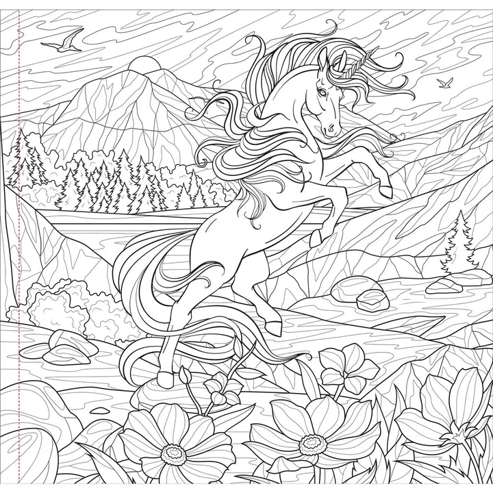 Enchanted Kingdom Adult Coloring Book