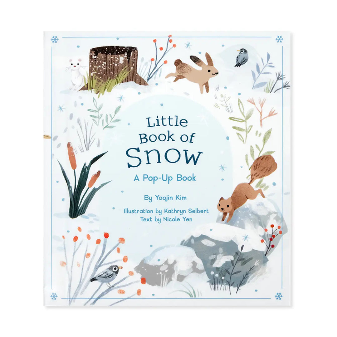 Little Book of Snow Kids Pop-Up Book