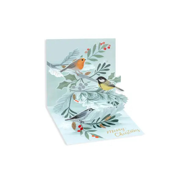 Winter Birds Trinkets Pop-up Card