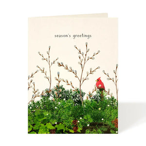 Cardinal and Evergreen Card