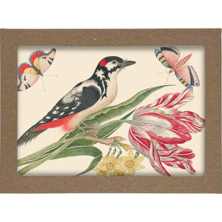 Smithsonian Birds and Flowers Notecard Set (Box of 8)