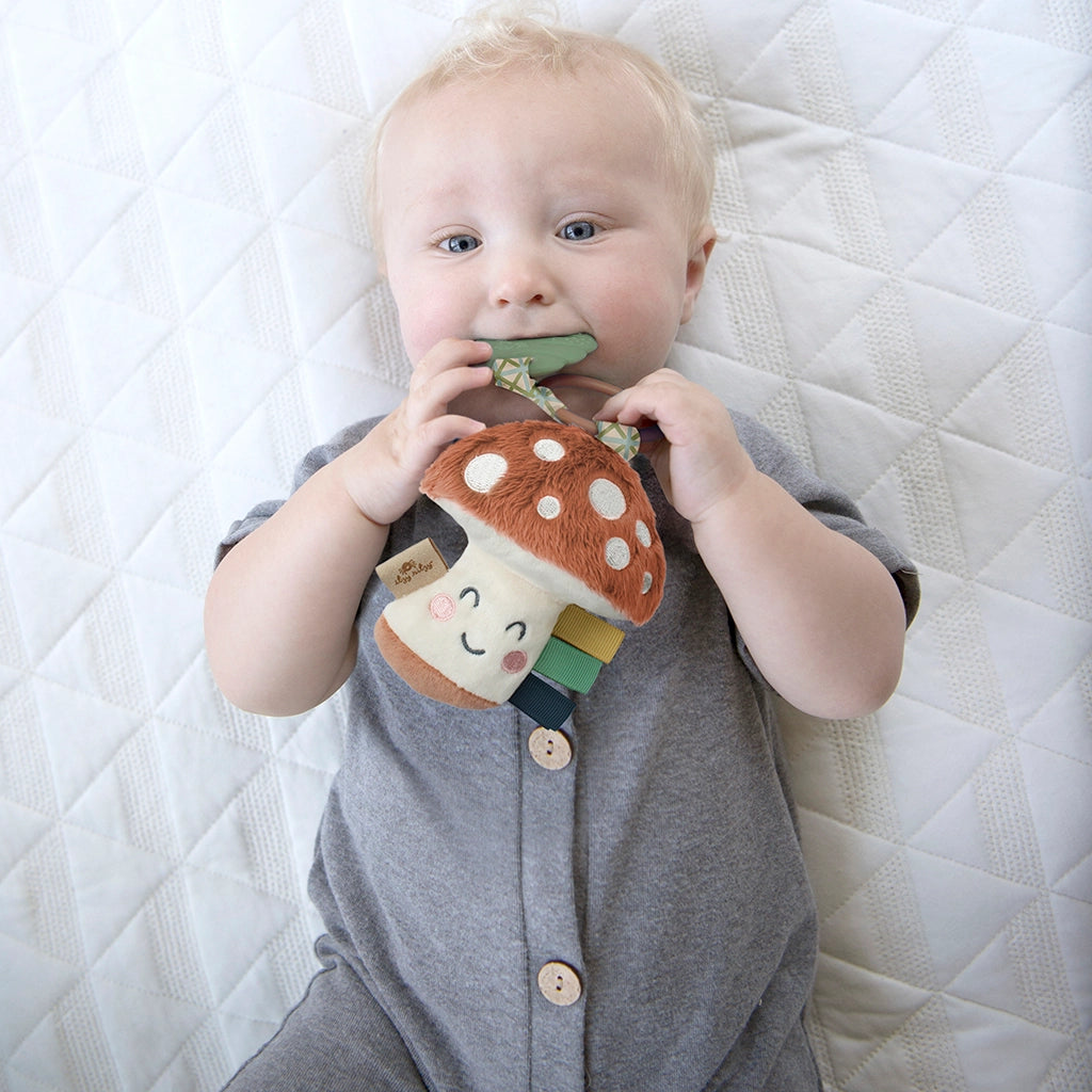 Itzy Pal Plush and Teether