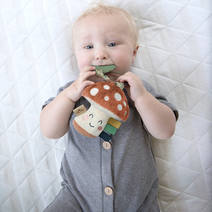 Itzy Pal Plush and Teether