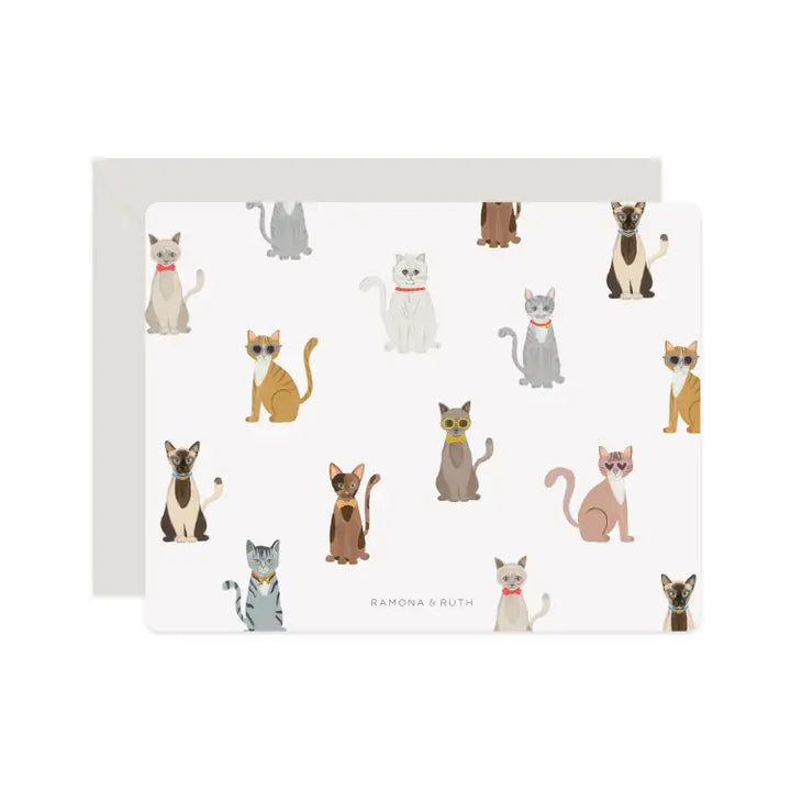 Cool Cats Flat Notecard Set | Boxed Set of 6