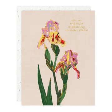 Whimsy Bloom Love & Friendship Card