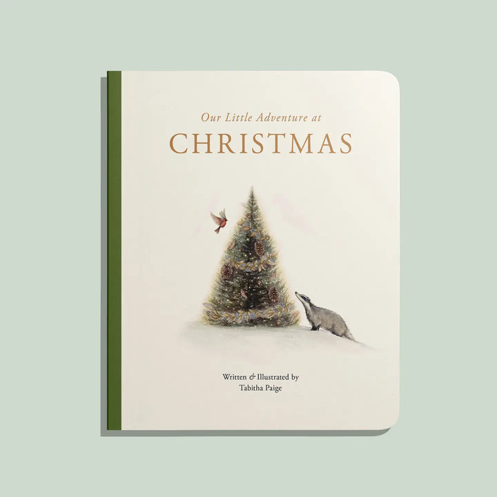 Our Little Adventure at Christmas