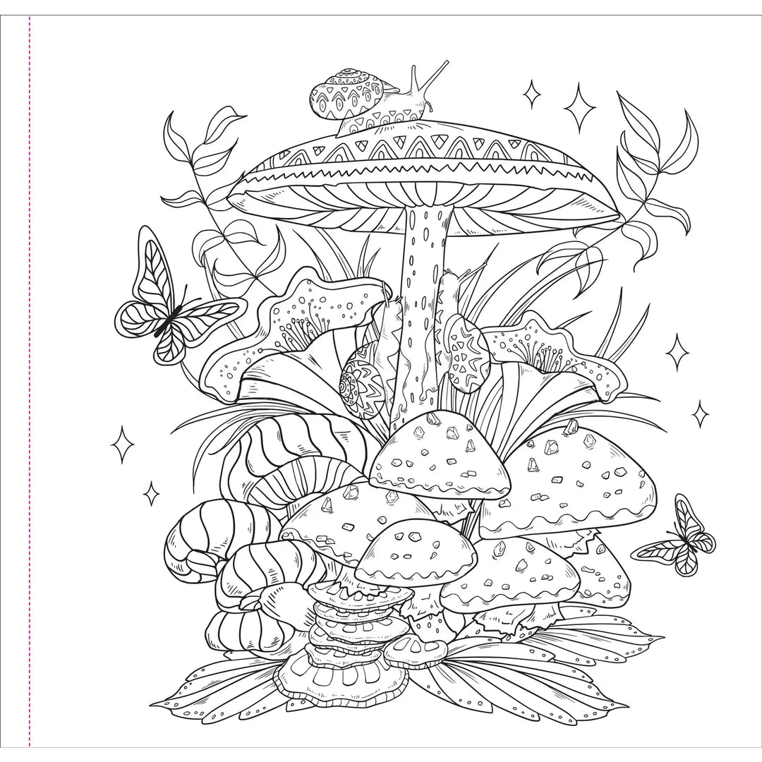 Enchanted Kingdom Adult Coloring Book