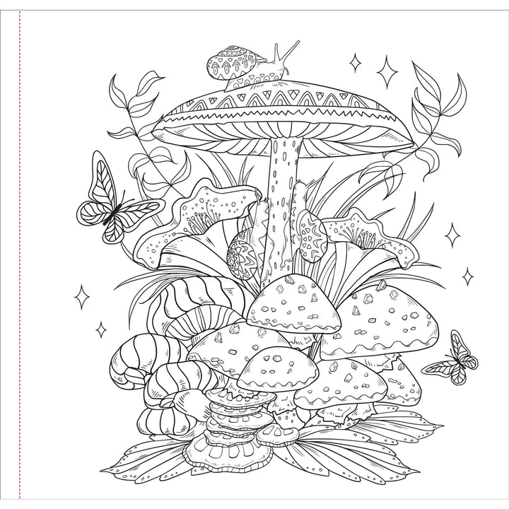 Enchanted Kingdom Adult Coloring Book