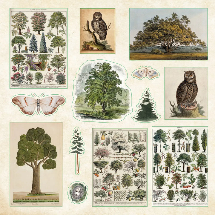 Enchanted Forest Sticker Book
