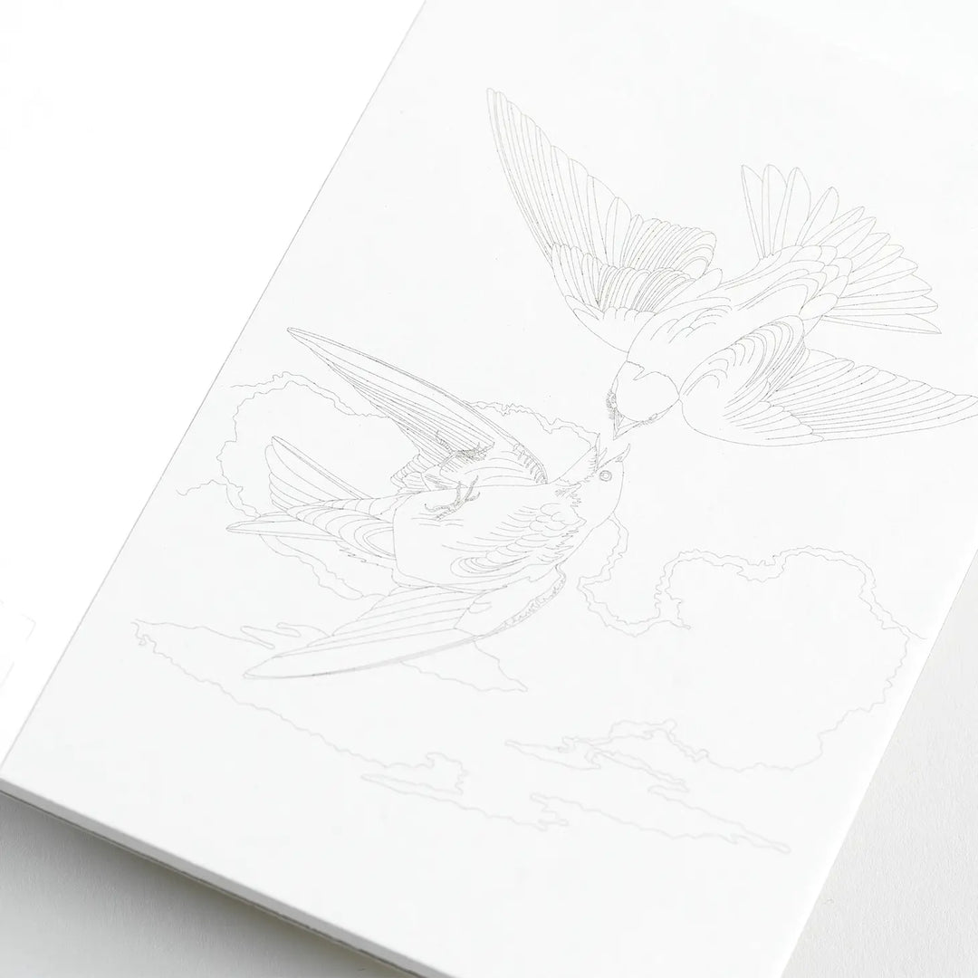 Natural History Postcard Book