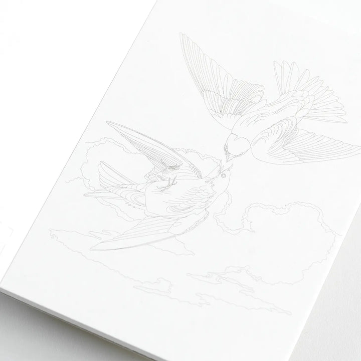 Natural History Postcard Book