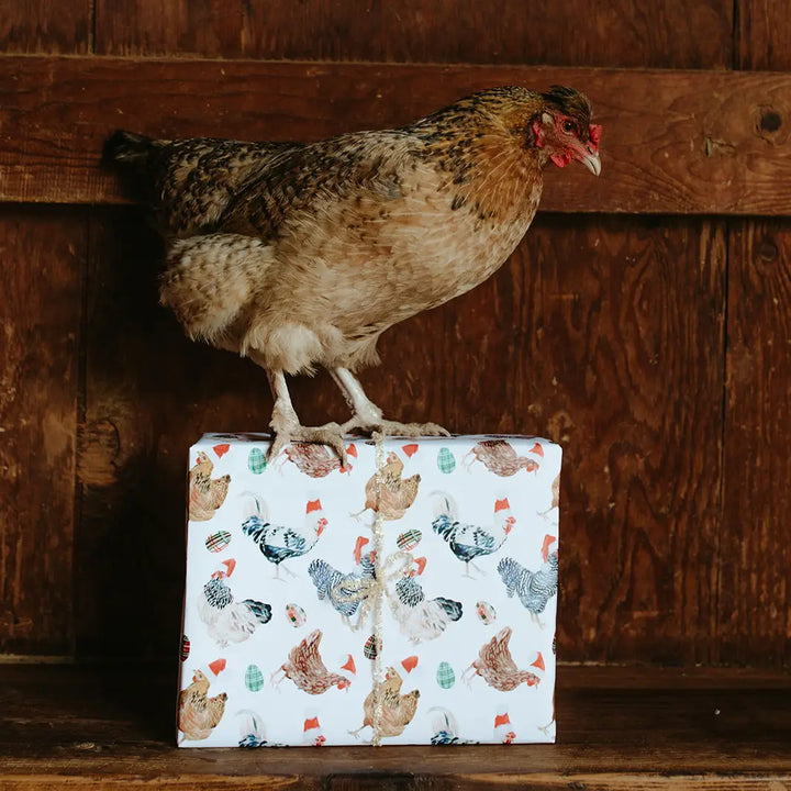 Christmas Chickens in Santa Hats Gift Wrap (Roll)