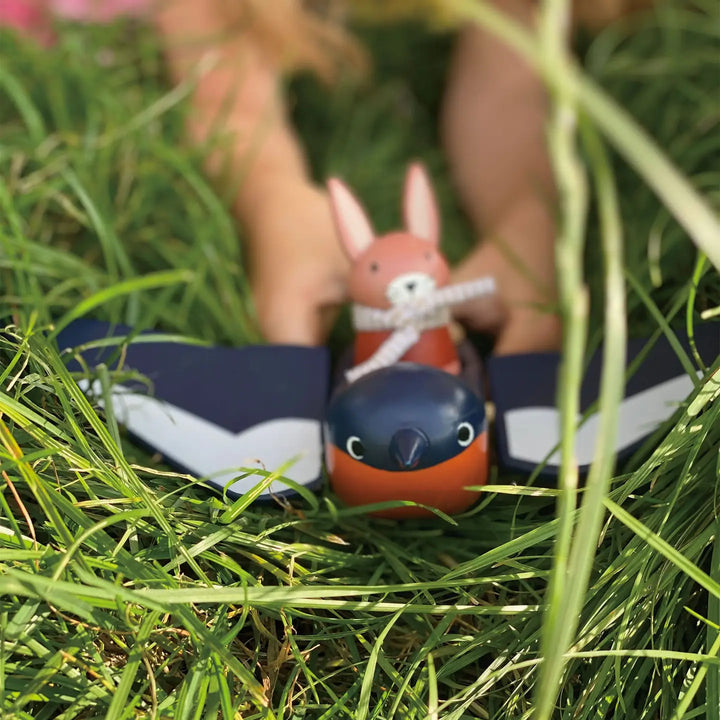 Swifty Bird