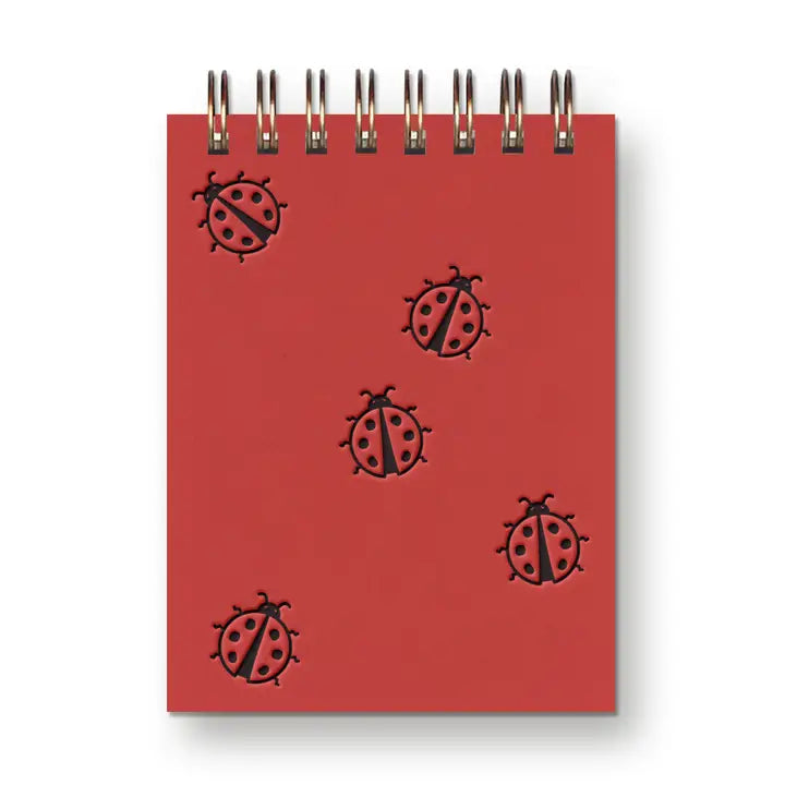 Ladybug Mini Jotter Notebook