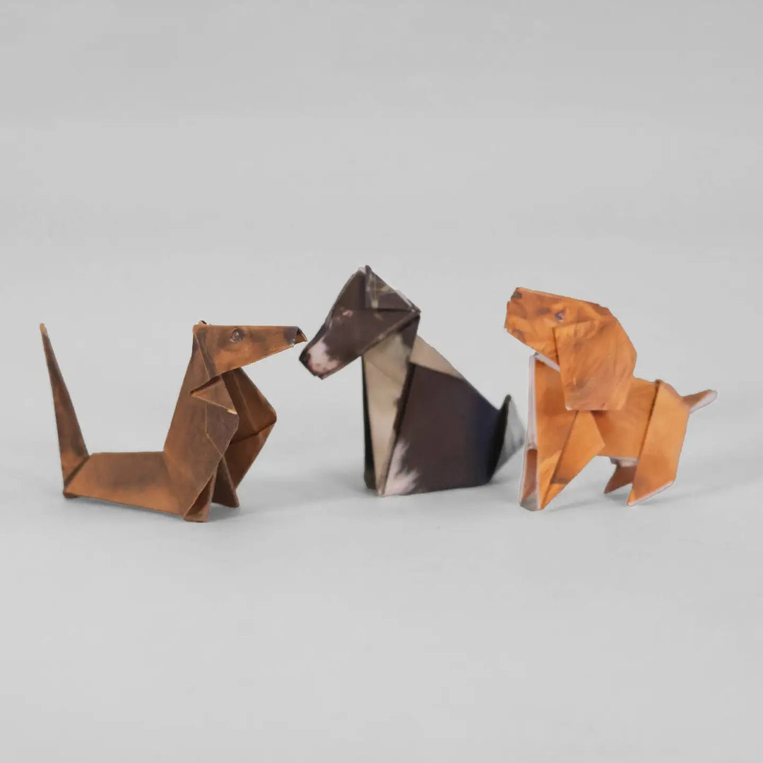 Paper Pups Origami Kit