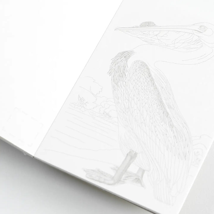 Natural History Postcard Book