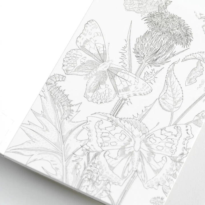 Natural History Postcard Book