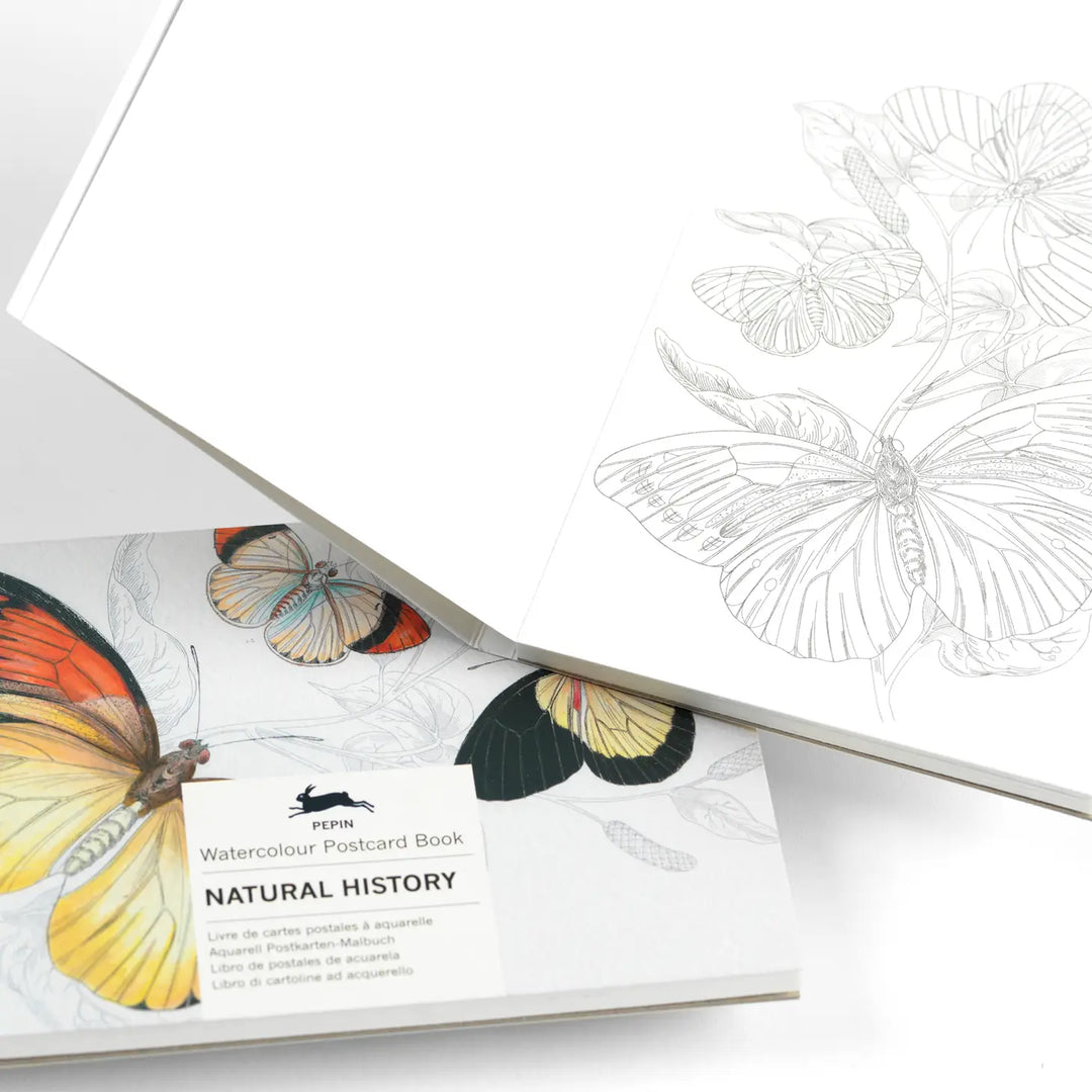 Natural History Postcard Book