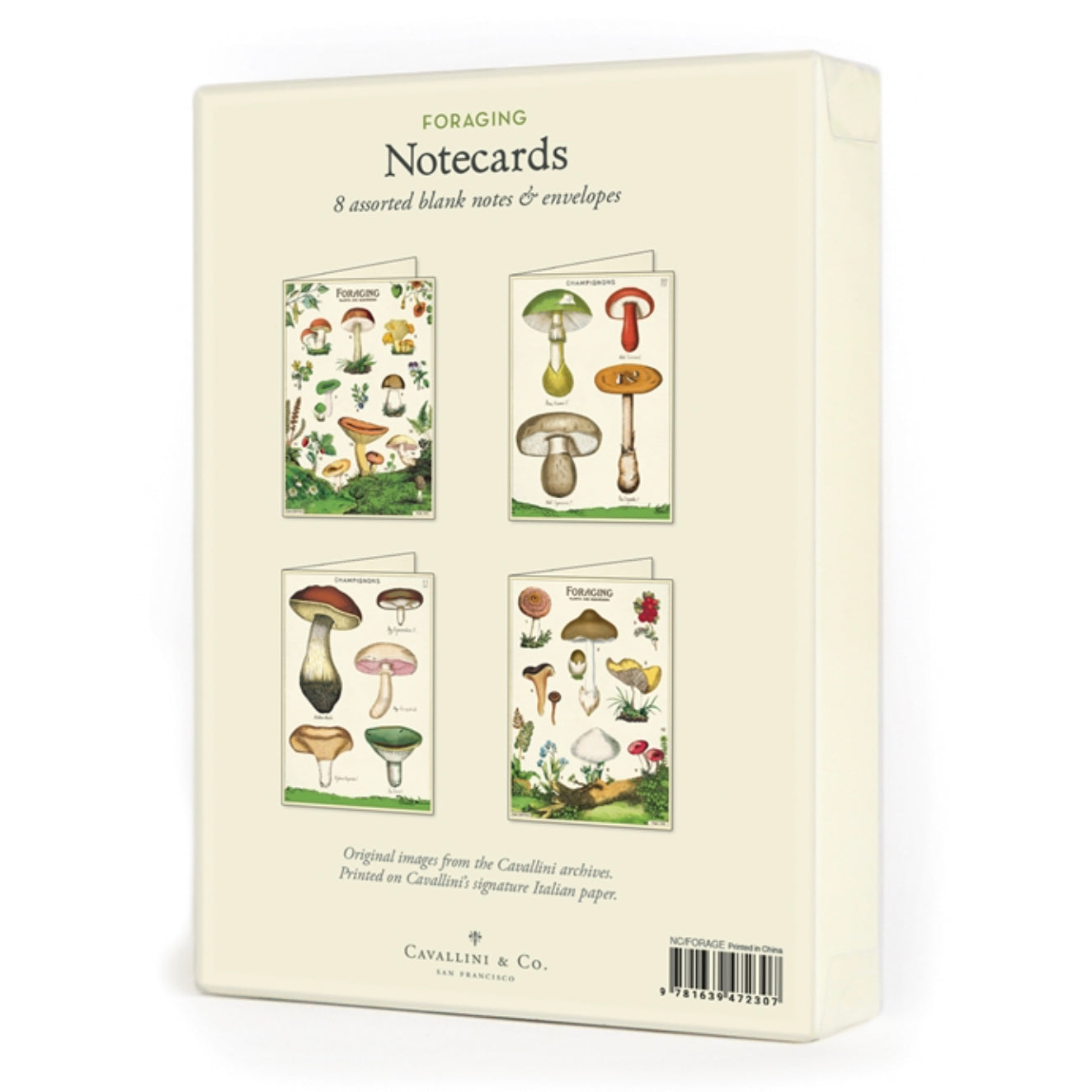 Foraging Assorted Note Card (set of 8)