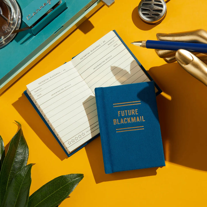 Future Blackmail Tiny Diary