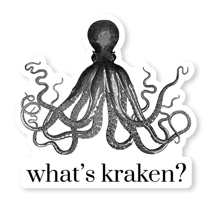What's Kraken? Magnet