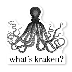 What's Kraken? Magnet