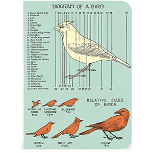Mini Notebooks - Bird Watching