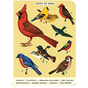 Mini Notebooks - Bird Watching