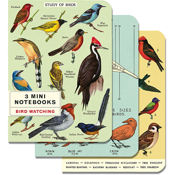 Mini Notebooks - Bird Watching