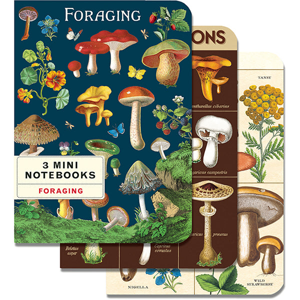 Mini Notebooks - Foraging