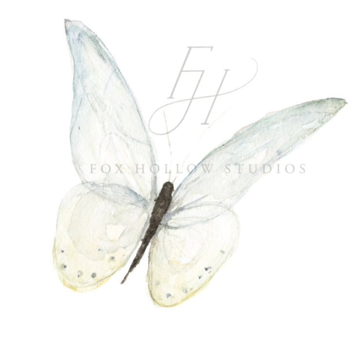 Blue Butterfly Art Print