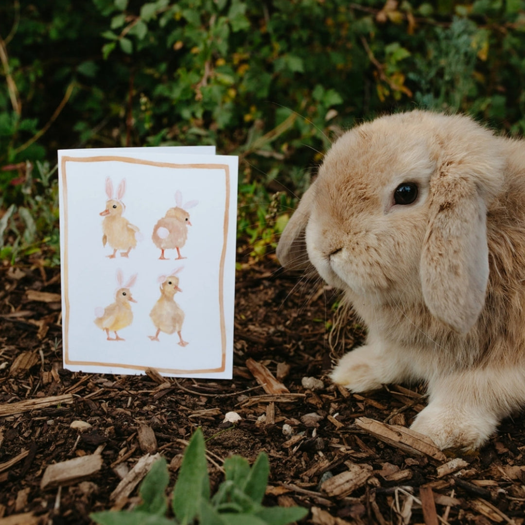 Easter Bunny Ducks Greeting Card