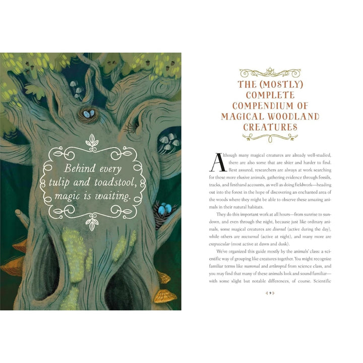 How To Spot A Magical Woodland Creature