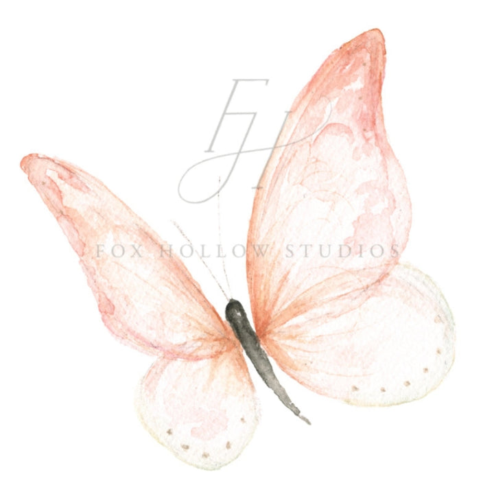 Pink Butterfly Art Print