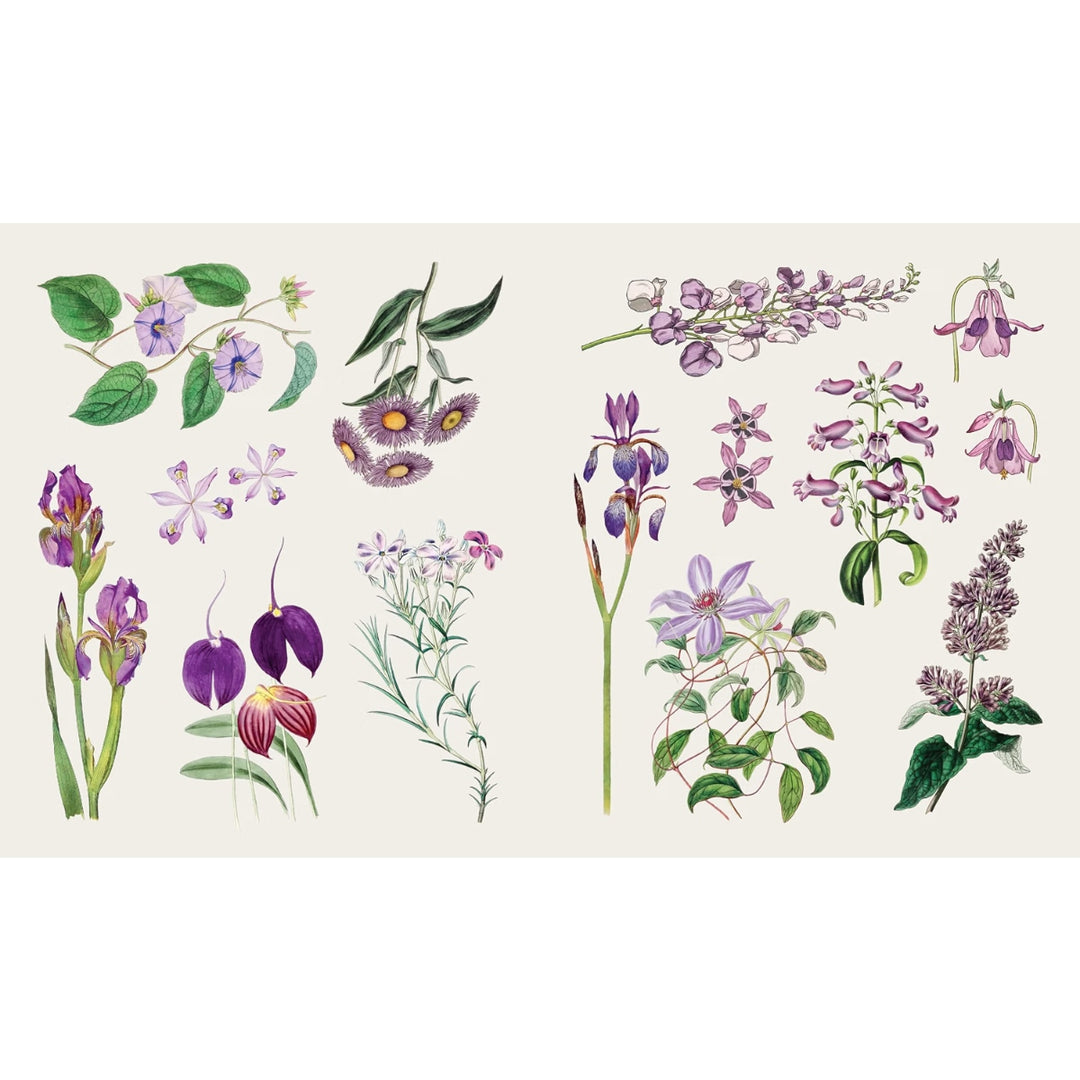 The Sticker Treasury of Blooms and Butterflies