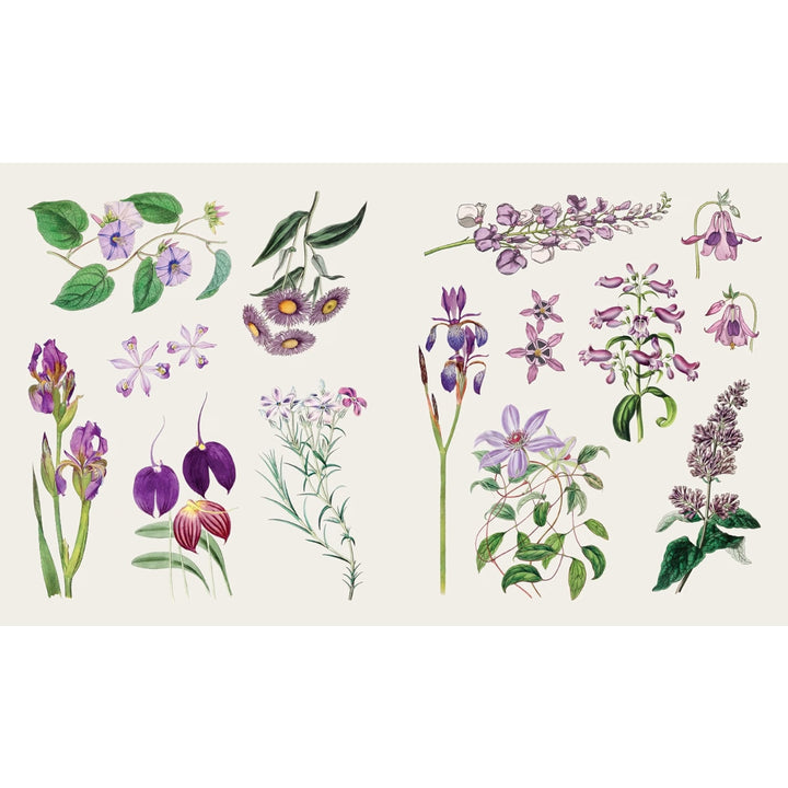 The Sticker Treasury of Blooms and Butterflies