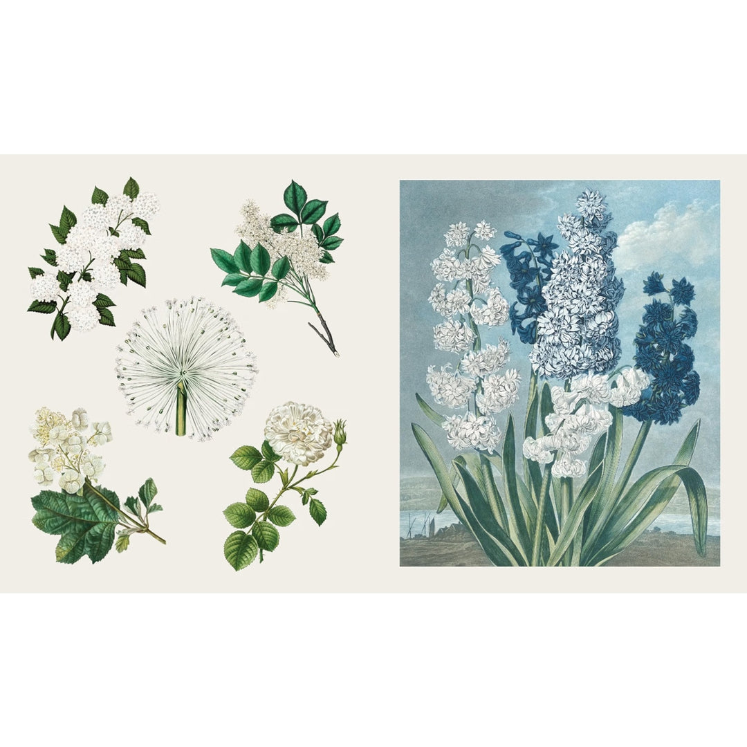 The Sticker Treasury of Blooms and Butterflies