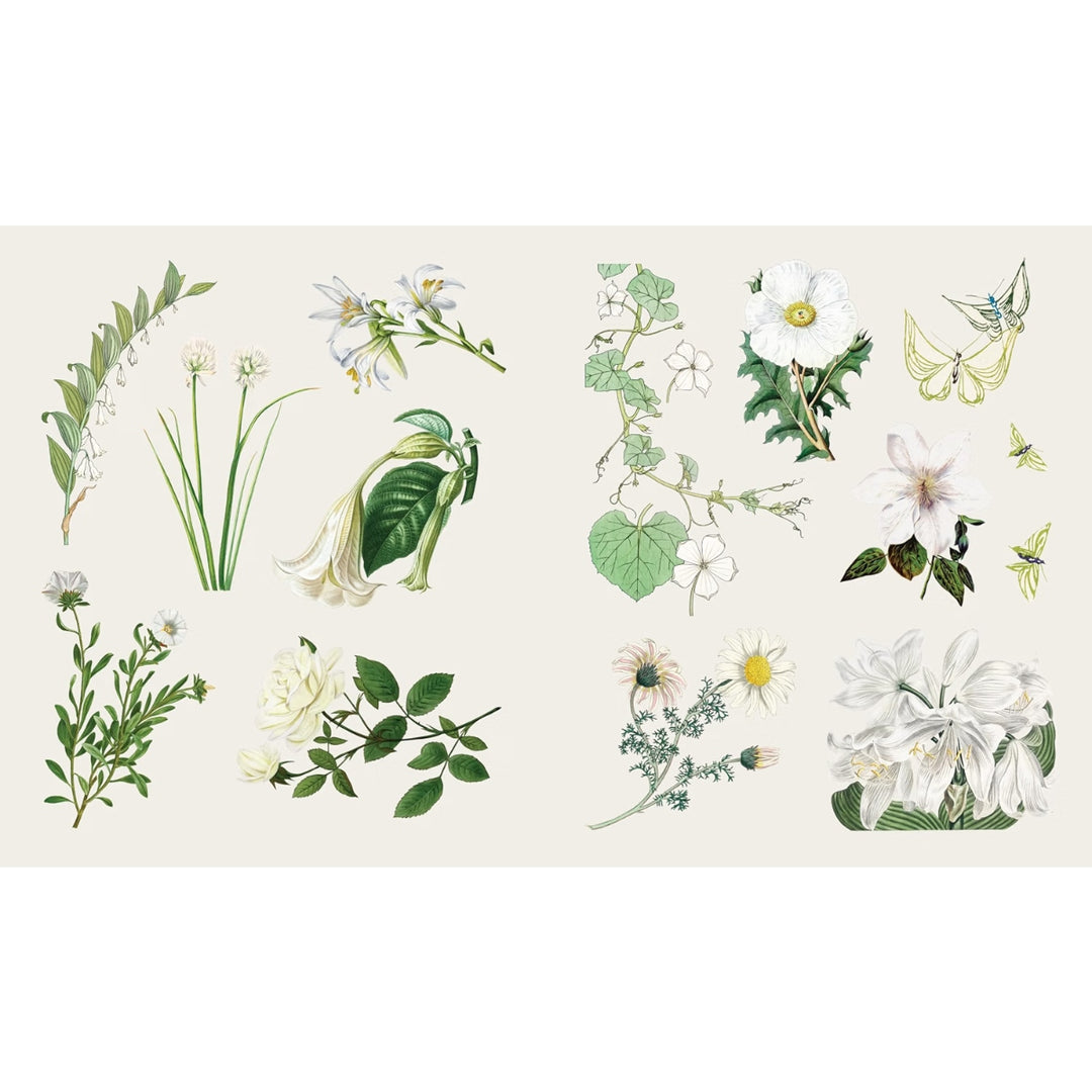 The Sticker Treasury of Blooms and Butterflies