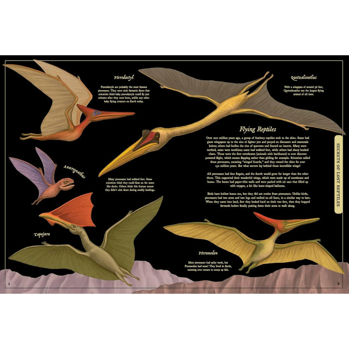Secret Stories of Lost Beasts: A Field Guide to Uncover Earth’s Ancient Animals