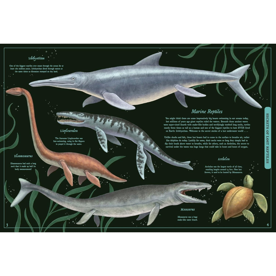 Secret Stories of Lost Beasts: A Field Guide to Uncover Earth’s Ancient Animals
